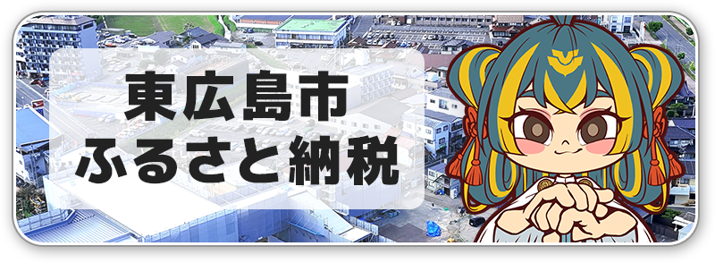 広島 TEAM iXA ふるさと納税